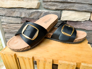 Corkys Black Road Trip