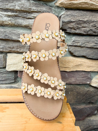 Let’s Be Friends Corkys